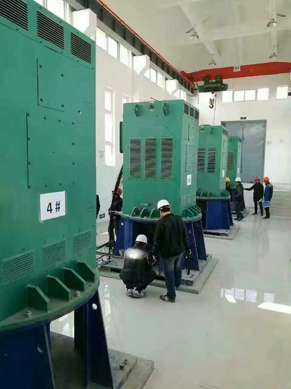 Y5005-4某污水处理厂使用我厂的立式高压电机安装现场