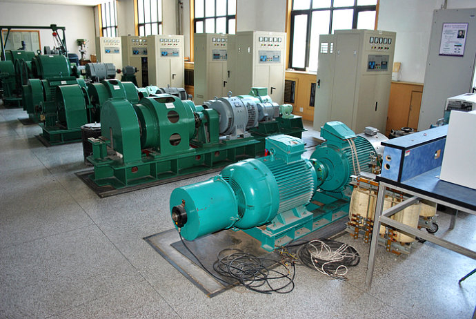 Y5005-4某热电厂使用我厂的YKK高压电机提供动力
