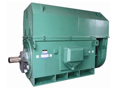 Y5005-4Y系列6KV高压电机