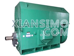 Y5005-4YXKK(2极)高效高压电机技术参数