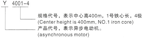 西安泰富西玛Y系列(H355-1000)高压Y5005-4三相异步电机型号说明